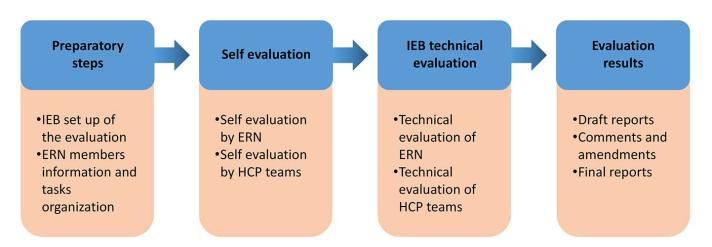 Evaluation of the European Reference Networks