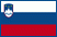 slovenia_flag.gif
