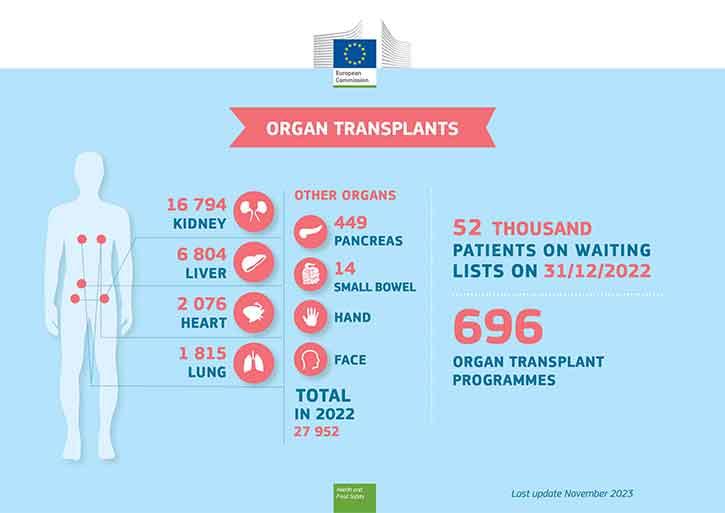 Infographic - Organs